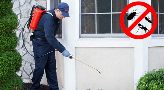 Ilıpınar Dezenfeksiyon böcek ilaçlama ve haşere kontrolü — ilaclama-tr.com